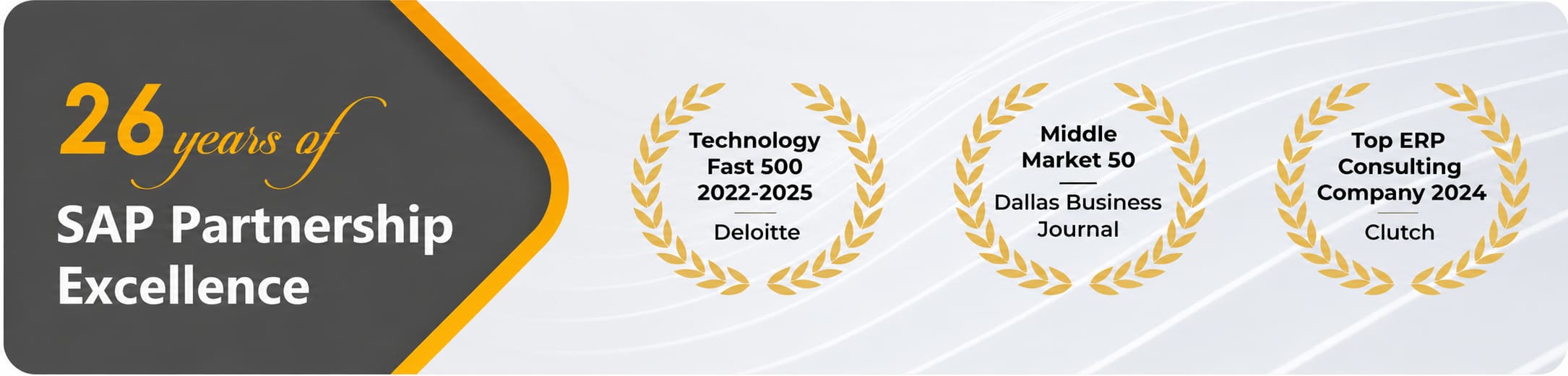 SAP Partnership Banner